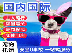 长白山空运公司国际宠物托运 【国